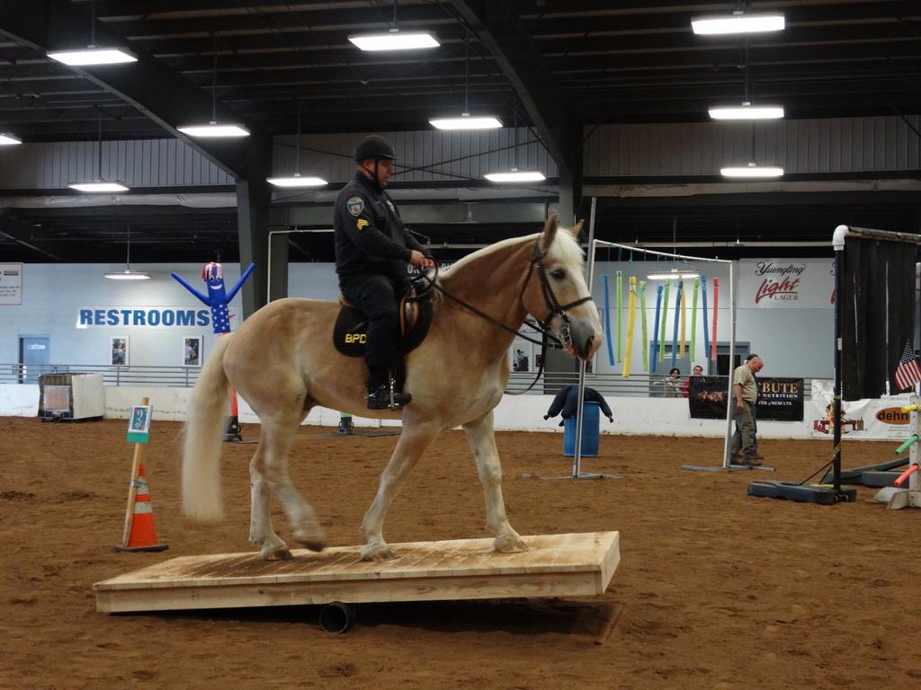 Big D Horse Stars Hall of Fame